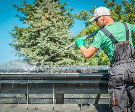 Roof Gutter Cleaning
