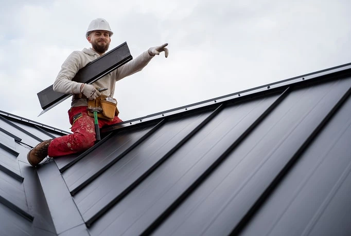 Professional Roofing Services