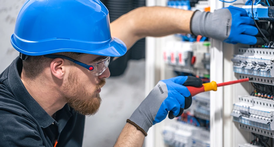 Local Electrician in Waitara
